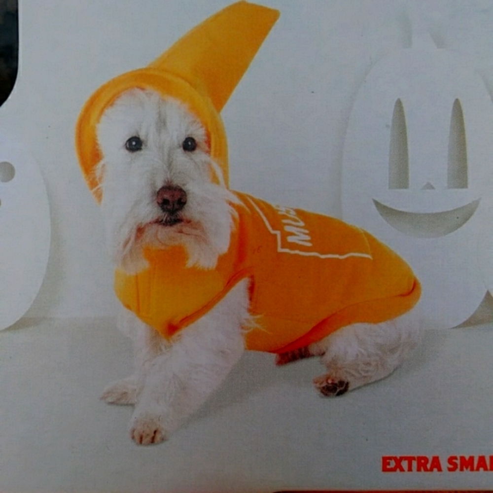 XS Dog Halloween Mustard Costume